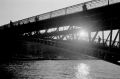 2015_006_TMax400_RC35_07_inv_800.jpg