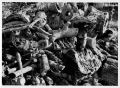 Tas-de-bois_B_800_new.jpg