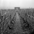 Clos_du_Vernoy-small.jpg