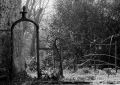 Nom du fichier=Delta100_A1_0009_medieval_garden_gate.jpg
Taille du fichier=215Ko
Dimensions : 800x571
Ajouté le : 16 Janvier 2012 Delta100_A1_0009_medieval_garden_gate.jpg