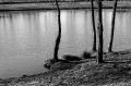 Delta100_A1_0026_Bords_du_lac.jpg