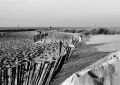 Delta100fev2012P2_0026-2_800x600_Surfer.jpg