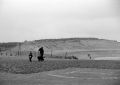 Delta100fev2012P2_0036-3_800x600_Promenade_d_Hiver.jpg