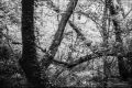 Nom du fichier=M4C50FS400_800x600-0001.jpg
Taille du fichier=203Ko
Dimensions : 800x537
Ajouté le : 19 Mai 2015 M4C50FS400_800x600-0001.jpg