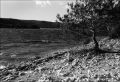 Arbre_à_Esparon.jpg