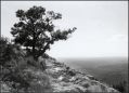 Nom du fichier=Arbre_en_sainte_Victoire.jpeg
Taille du fichier=498Ko
Dimensions : 796x577
Ajouté le : 16 Septembre 2015 Arbre_en_sainte_Victoire.jpeg