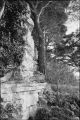 Arbre_sur_cailloux.jpg