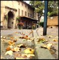 Automne_en_couleur.jpg