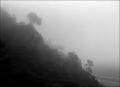 Brouillard_Petit_Luberon.jpg