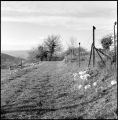 Nom du fichier=Chemin_au_Puy_Sainte_Reparade.jpeg
Taille du fichier=435Ko
Dimensions : 791x800
Ajouté le : 07 Février 2015 Chemin_au_Puy_Sainte_Reparade.jpeg