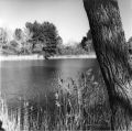 Nom du fichier=Etang.jpeg
Taille du fichier=416Ko
Dimensions : 800x798
Ajouté le : 11 Octobre 2014 Etang.jpeg