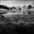 Nom du fichier=Etang_de_Janson.jpeg
Taille du fichier=437Ko
Dimensions : 788x778
Ajouté le : 02 Mai 2015 Etang_de_Janson.jpeg