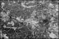 Lichen.jpeg