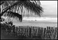 Plage_Tarzan_Madagascar.jpeg