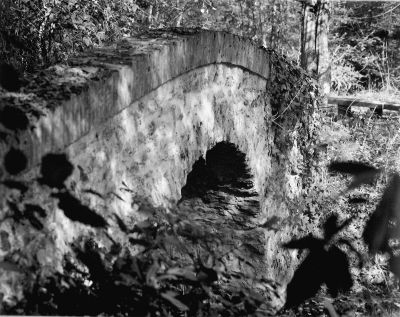 pont_étang.JPG