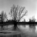 Etang_gelé.jpg