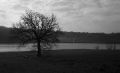 Class_NetB_5_PL_20_____015.jpg