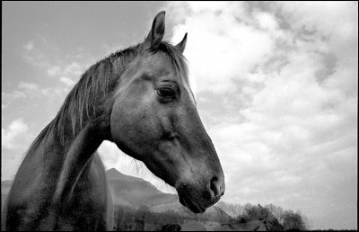 Profil...
