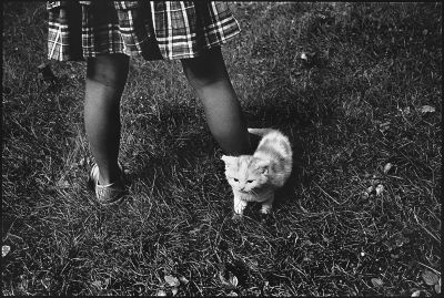 Chat...
