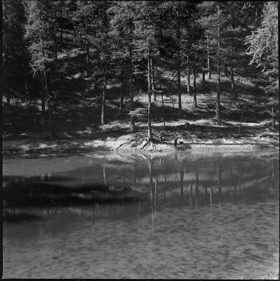 Lac Pre du Laus
