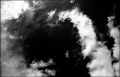 2010_5_1_3204_00003.jpg