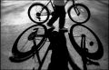 2011_1_19_3204_00004.jpg
