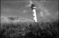 2011_8_12_3204_00001.jpg