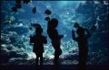 2011_8_9_3204_00003.jpg