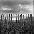 Untitled-(4).jpg