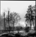 parc2.jpg