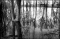 reflet6.jpg