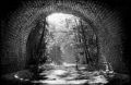 tunnel.jpg