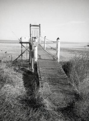 Fuji_645W_Foma100_100_Rodinal_12B25_img003_low.jpg