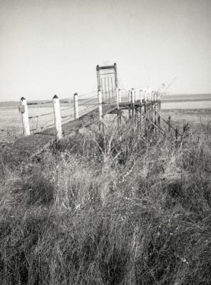 Fuji_645W_Foma100_100_Rodinal_12B25_img004_low.jpg