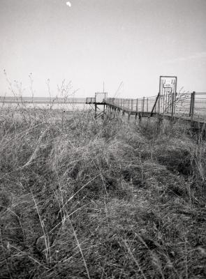 Fuji_645W_Foma100_100_Rodinal_12B25_img006_low.jpg