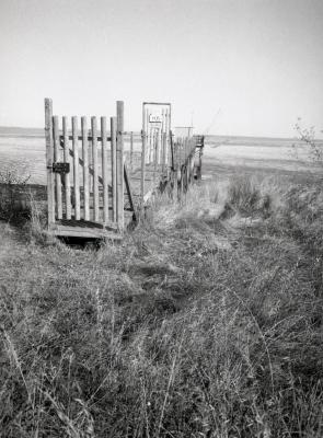 Fuji_645W_Foma100_100_Rodinal_12B25_img008_low.jpg