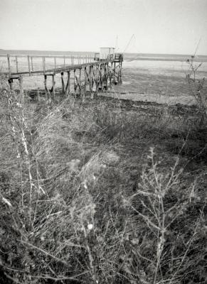 Fuji_645W_Foma100_100_Rodinal_12B25_img009_low.jpg