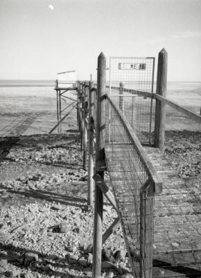 Fuji_645W_Foma100_100_Rodinal_12B25_img010_low.jpg