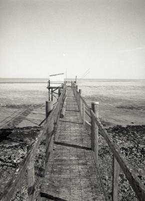 Fuji_645W_Foma100_100_Rodinal_12B25_img011_low.jpg