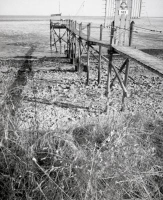 Fuji_645W_Foma100_100_Rodinal_12B25_img014_low.jpg