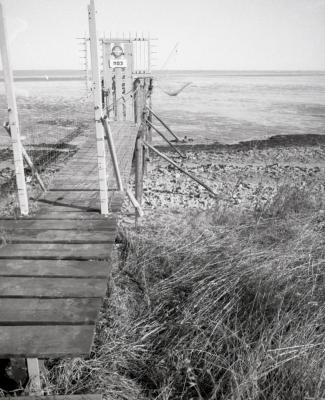 Fuji_645W_Foma100_100_Rodinal_12B25_img015_low.jpg