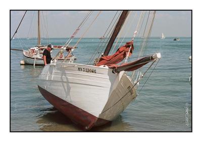 Minolta_9xi_19-35Portra160_img008.jpg