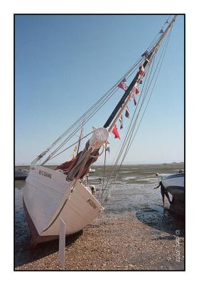 Minolta_9xi_19-35Portra160_img017.jpg