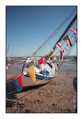 Minolta_9xi_19-35Portra160_img029.jpg