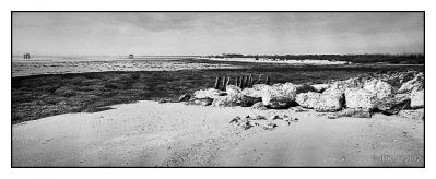 Ile Madame - HP5 - Rodinal
