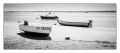 0006_10.jpg