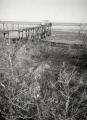 Fuji_645W_Foma100_100_Rodinal_12B25_img009_low.jpg
