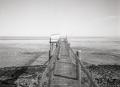 Fuji_645W_Foma100_100_Rodinal_12B25_img012_low.jpg