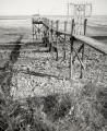 Fuji_645W_Foma100_100_Rodinal_12B25_img013_low.jpg