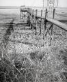 Fuji_645W_Foma100_100_Rodinal_12B25_img014_low.jpg